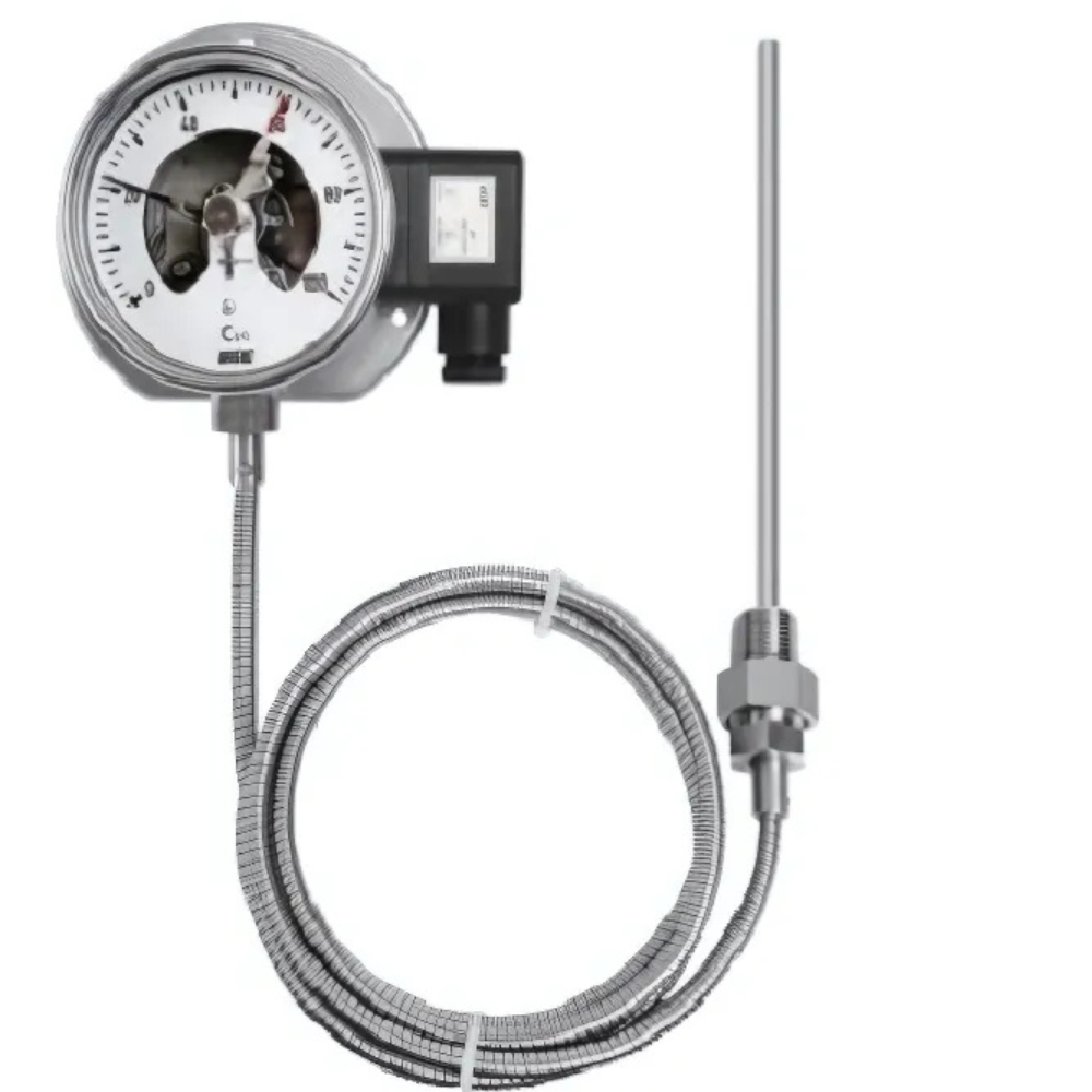 Đồng hồ nhiệt độ tiếp điểm điện Wise T520