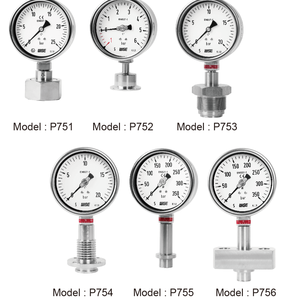 Đồng hồ áp suất dạng màng Wise Model P750